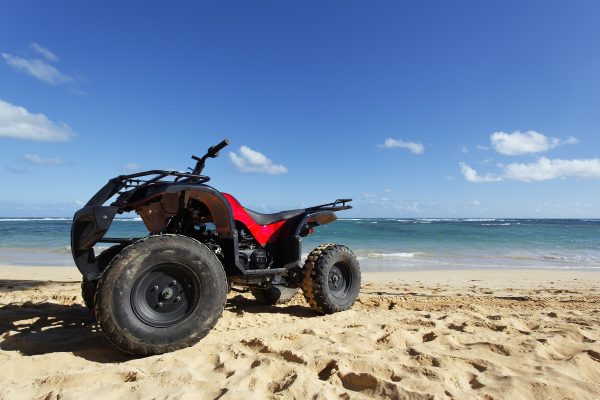 2 Seater Buggy